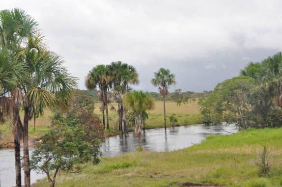 Muitos igarapés e bela paisagem no trecho asfaltado da viagem entre Macapá e Oiapoque - AP
